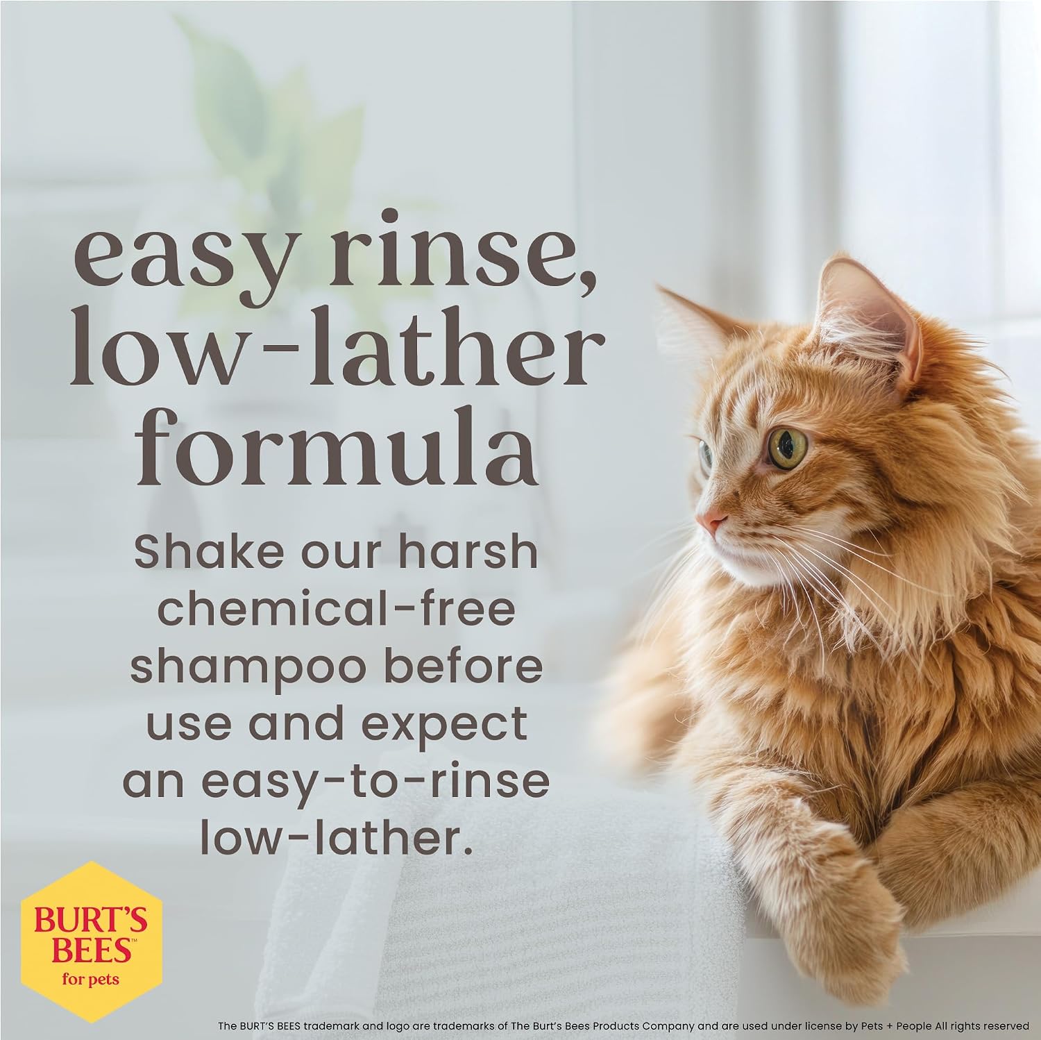 BURT'S BEES FOR PETS Hypoallergenic Cat Shampoo, Unscented, 10 Fl Oz, 2-Pk - Image 4
