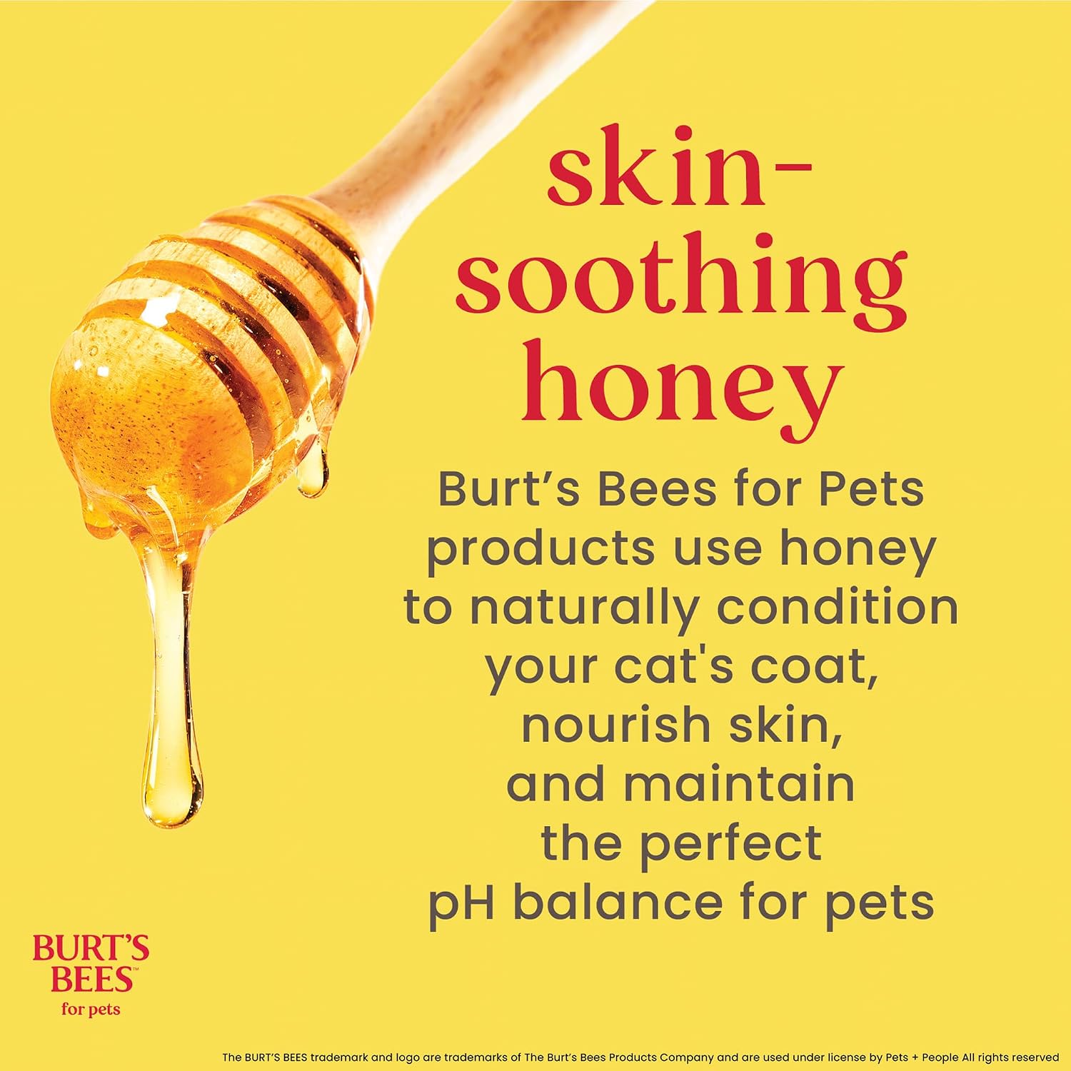 BURT'S BEES FOR PETS Hypoallergenic Cat Shampoo, Unscented, 10 Fl Oz, 2-Pk - Image 6